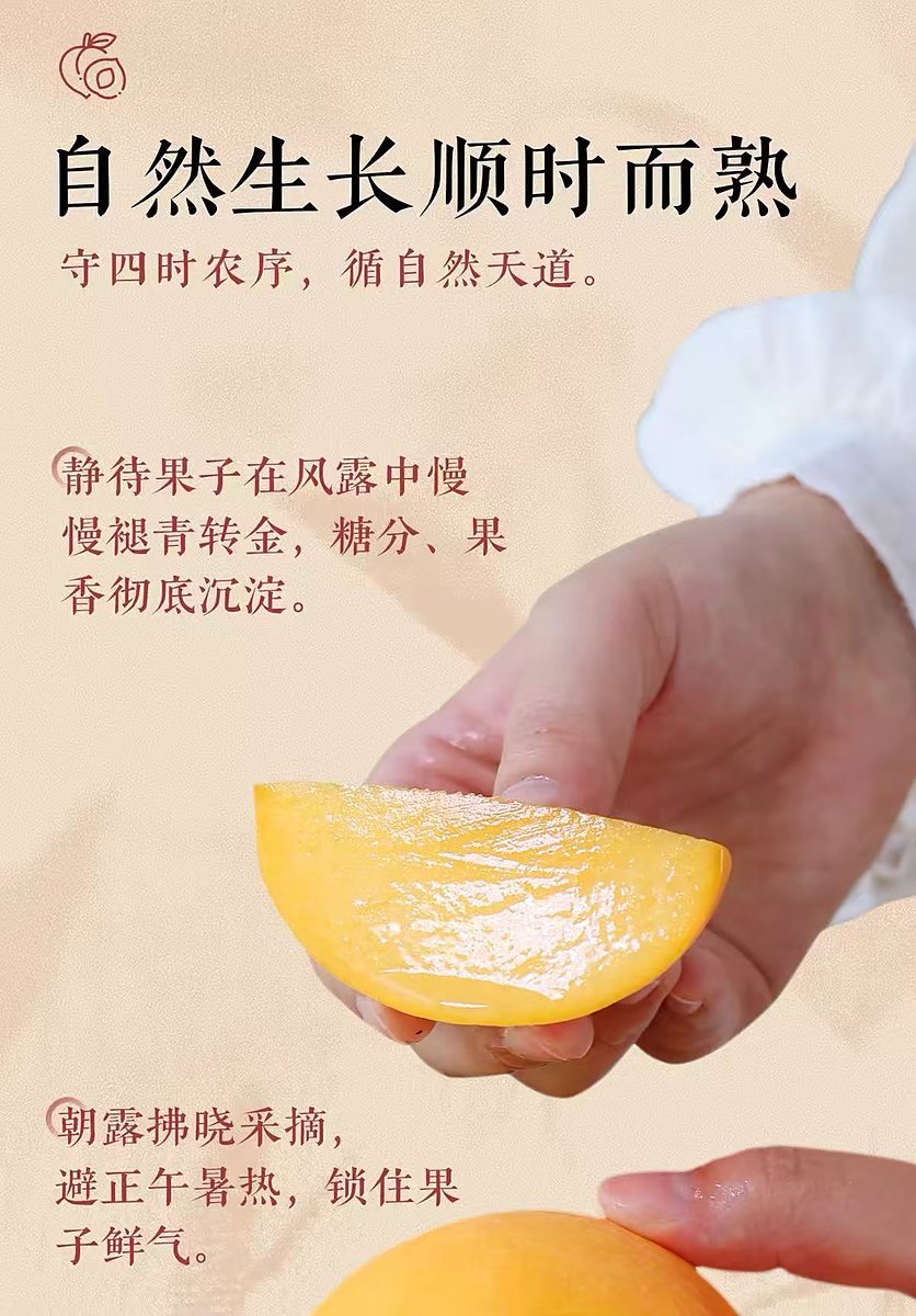 安徽砀山黄桃当季现摘 9 斤整箱 脆甜多汁